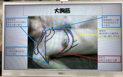 6月１２日は触察です