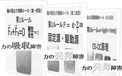 スパインダイナミクス