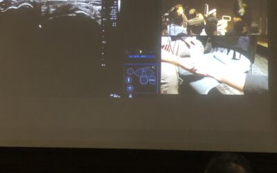 日本整形外科超音波学会