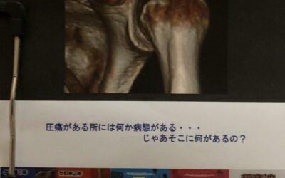 １０月２９．３０日は３師合同セミナ－