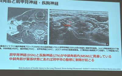 ２０２３年９月の学びを
