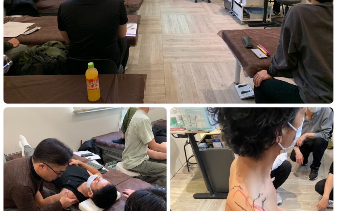 肩関節の講義、実技をさせて頂きました