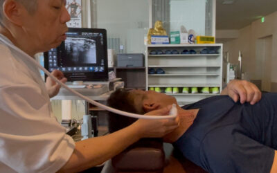 頸部の学びを・・・